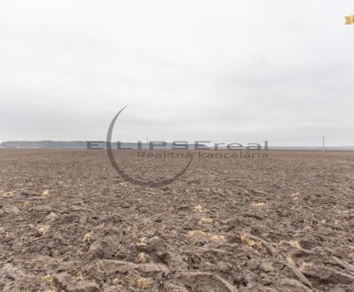 Sale Agrarian and forest land, Agrarian and forest land, Dolná, Malack