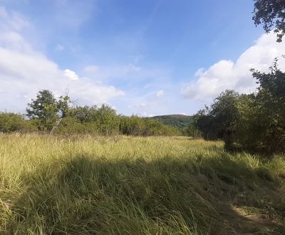 Sale Recreational land, Recreational land, Horné Jabloňovce, Levice, S
