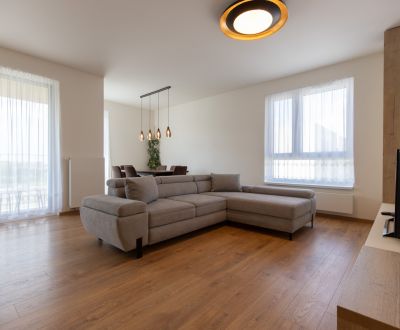 Sunny 2-bedroom apartment with loggia, Bory