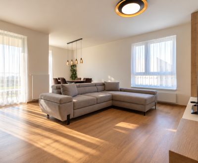Sunny 2-bedroom apartment with loggia, Bory