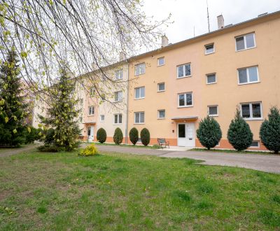 Sale One bedroom apartment, One bedroom apartment, Dlhé Hony, Trenčín,