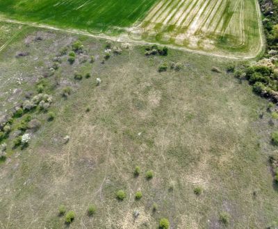 Sale Land – for living, Land – for living, Dolná, Pezinok, Slovakia