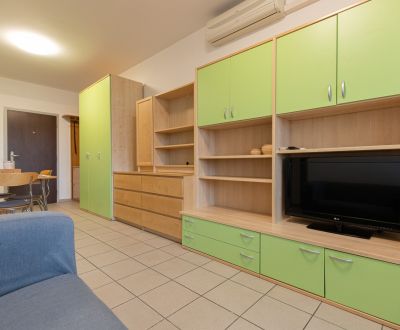 Comfortable 1-bedroom apartment with terrace, Petržalka