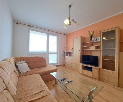 Rent One bedroom apartment, One bedroom apartment, Ludvíka Svobodu, Po