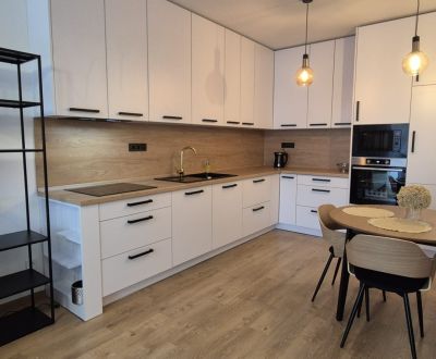 Rent One bedroom apartment, One bedroom apartment, Alvinczyho, Košice 