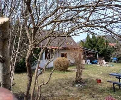 Sale Family house, Family house, Martin, Slovakia