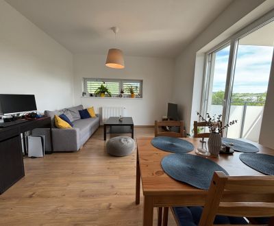 Rent One bedroom apartment, One bedroom apartment, Rulandská, Trenčín,
