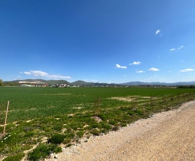 Sale Agrarian and forest land, Agrarian and forest land, Trenčín, Slov