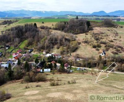 Sale Agrarian and forest land, Agrarian and forest land, Liptovský Mik