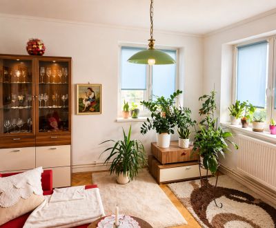 Sale Three bedroom apartment, Three bedroom apartment, Cementár, Košic