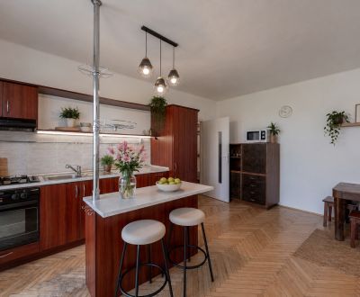 Rent One bedroom apartment, One bedroom apartment, Južná trieda, Košic