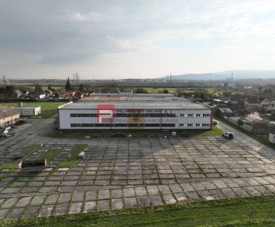 Rent Production premises, Production premises, Pezinská, Pezinok, Slov