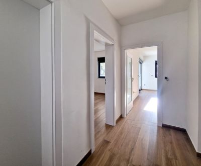 CROATIA - Apartments in a pine forest 140 m from the sea - PAKOŠTANE