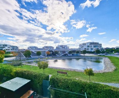 Rent One bedroom apartment, One bedroom apartment, Senec, Slovakia