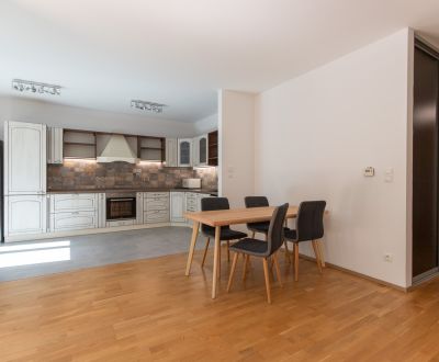 2-bedroom apartment with terrace, Koliba