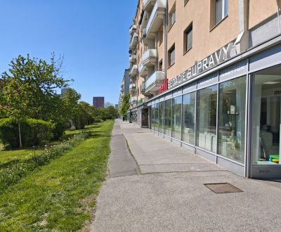 Sale Commercial premises, Commercial premises, Račianska 99, Bratislav