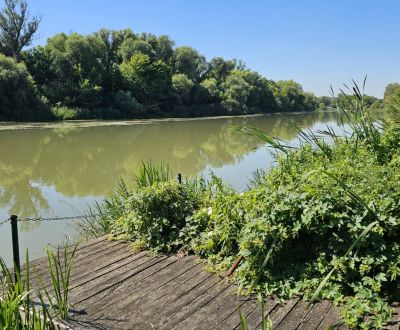 Sale Land – for living, Land – for living, Senec, Slovakia