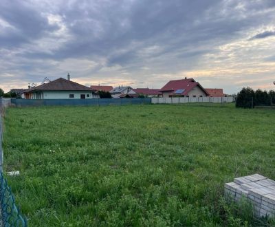 Sale Recreational land, Recreational land, Košariská, Senec, Slovakia