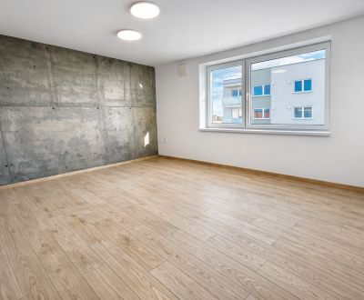 Rent Two bedroom apartment, Two bedroom apartment, Šámot, Dunajská Str