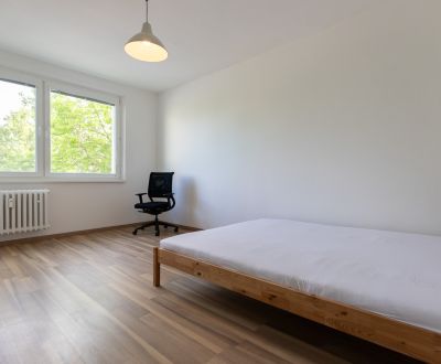 Renovated 2-bedroom apartment, Ružinov