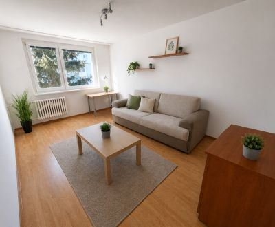 Sale One bedroom apartment, One bedroom apartment, Karola Adlera, Brat