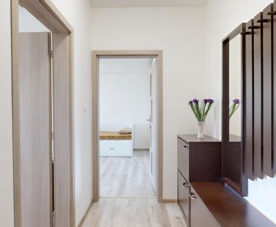 Sale One bedroom apartment, One bedroom apartment, Pred poľom, Trenčín