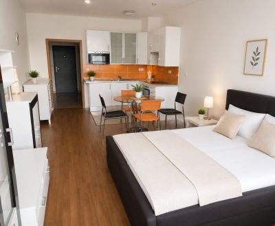 Rent Single studio, Single studio, Sliačska, Bratislava - Nové Mesto, 