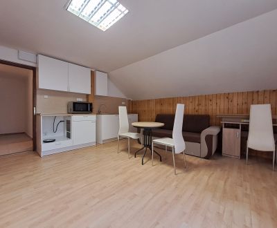 Rent Two bedroom apartment, Two bedroom apartment, Jilemnického, Marti