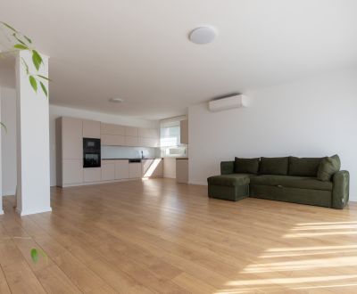 Modern 3-bedroom apartment in villa, Old Town