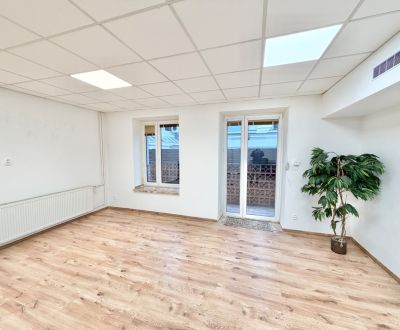 Rent Commercial premises, Commercial premises, Bottova, Žilina, Slovak