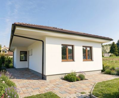Sale Family house, Family house, Pánska niva, Hlohovec, Slovakia