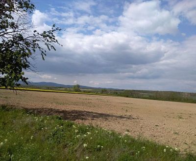 Searching for Hotels and pensions, Hotels and pensions, Senec, Slovaki