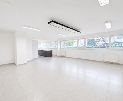 Sale Commercial premises, Commercial premises, Na piesku, Bratislava -