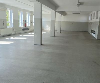 Rent Production premises, Production premises, neuvedená, Dunajská Str