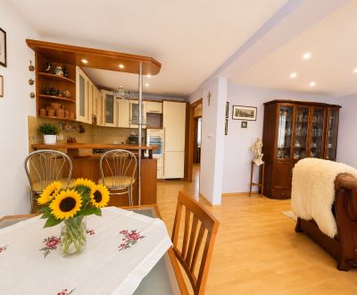 Sale Two bedroom apartment, Two bedroom apartment, Považská, Trenčín, 