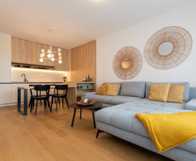 Furnished 1-bedroom apartment with loggia, Nivy