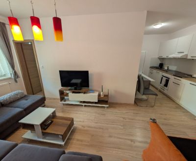 Rent One bedroom apartment, One bedroom apartment, Mateja Bella, Žilin