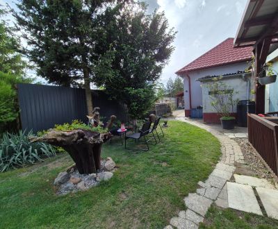 Sale Family house, Family house, Paľovce, Galanta, Slovakia