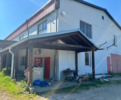 Rent Production premises, Production premises, Mníchová Lehota, Trenčí