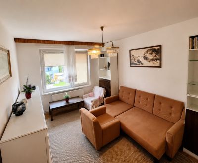 Sale One bedroom apartment, One bedroom apartment, Považská Bystrica, 