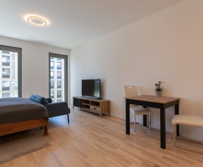 Premium studio apartment with loggia, Metropolis
