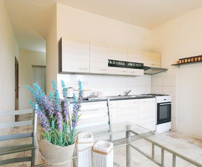 Sale One bedroom apartment, One bedroom apartment, Rázusova, Martin, S