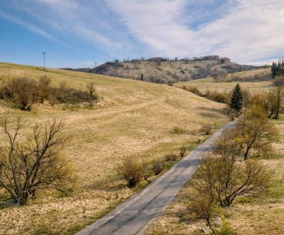 Sale Recreational land, Recreational land, Brôtovo, Brezno, Slovakia