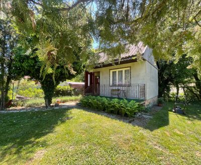 Charming Garden Retreat with Cottage in Peaceful Cherry Orchard