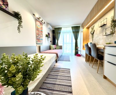 Rent Single studio, Single studio, Kysucká, Košice - Západ, Slovakia