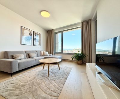 I FOR RENT - SKY PARK 1 bed. apartment with castle view