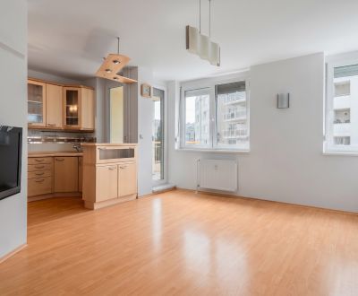 Spacious 3-Room Apartment in Bratislava's Karlova Ves