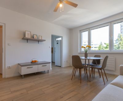 Furnished 1-bedroom apartment with parking, Old Town