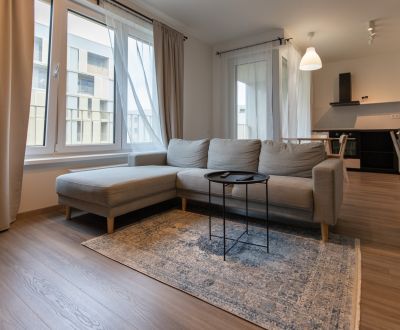 Modern 1-bedroom apartment with parking, Bory