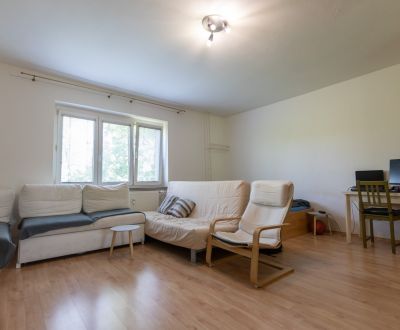Studio apartment with gallery balcony, Nové Mesto